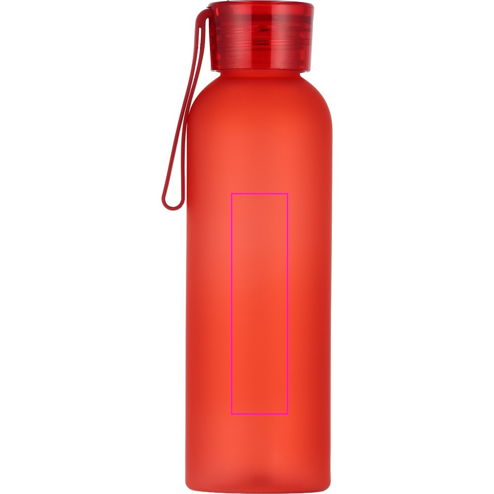 PET-pullo soft touch READING 600 ml 550 ml